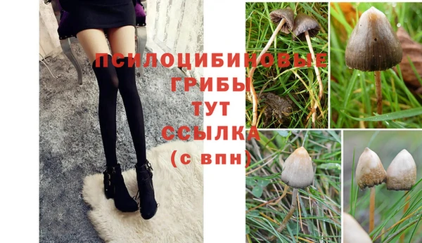 МДПВ Абдулино