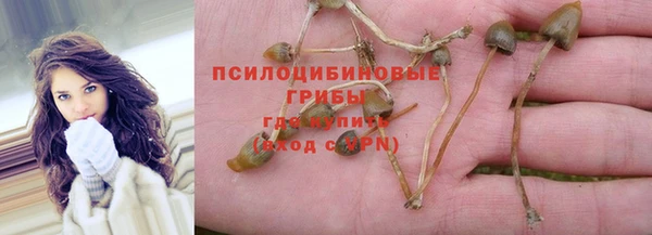 2c-b Мегион