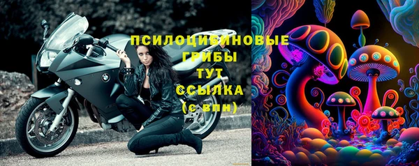 МДПВ Абдулино